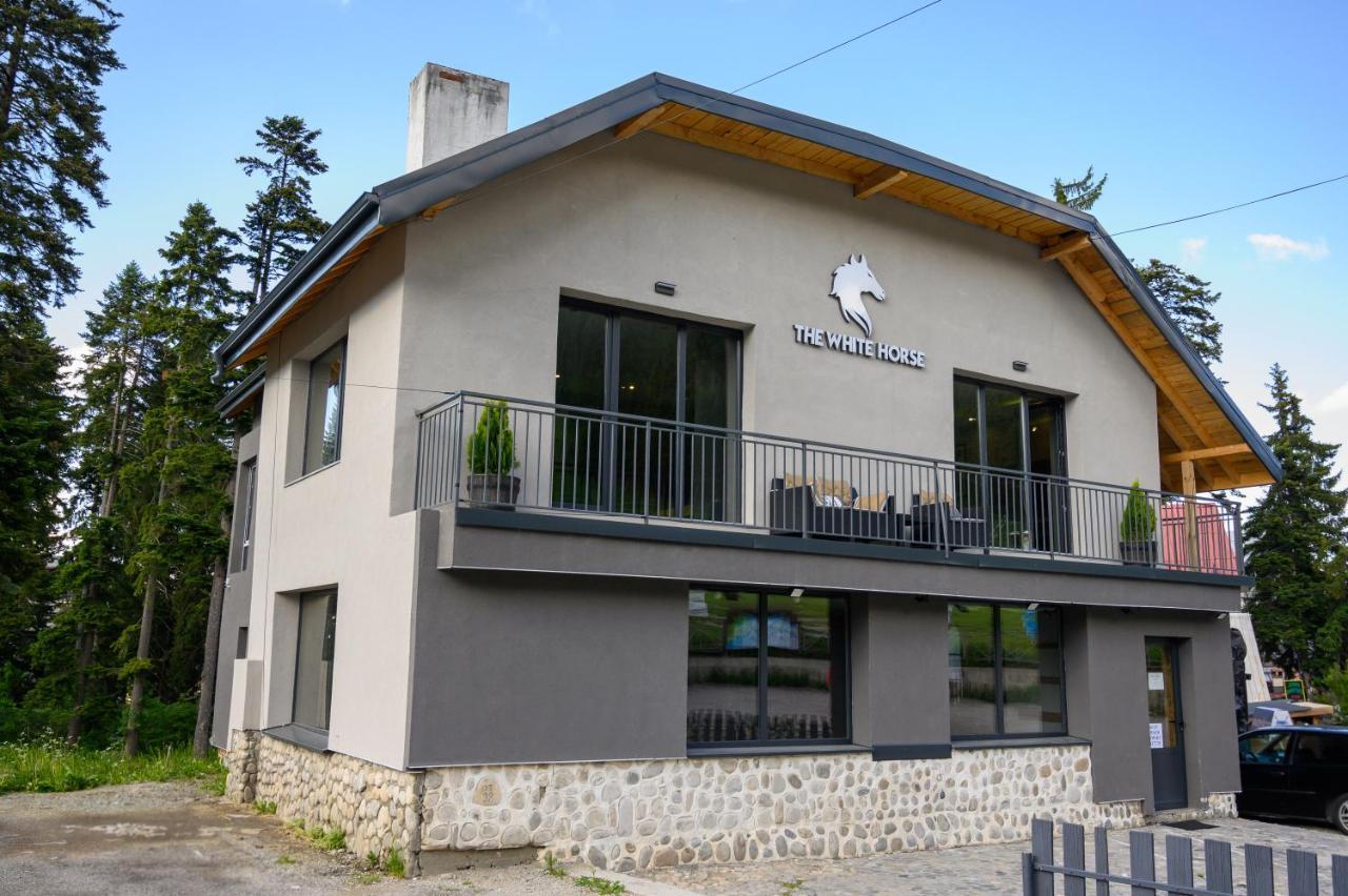 The White Horse Apartment